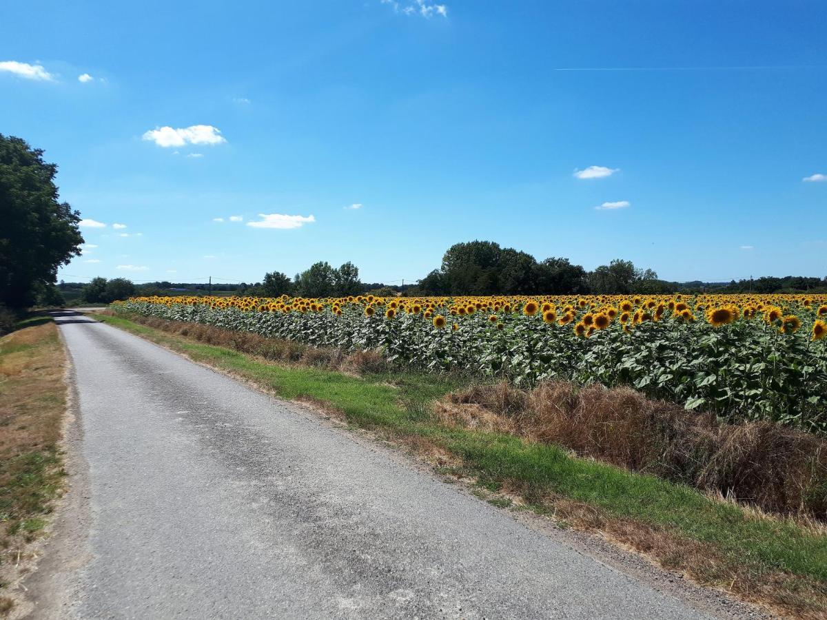 Les Bruyeres De Jeanne Et Rene Zoo De Beauval A 20Min,Chateaux Tout Inclus Fontguenand Exterior foto