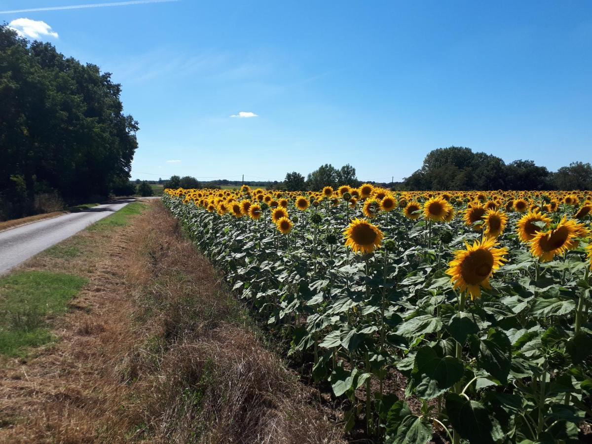 Les Bruyeres De Jeanne Et Rene Zoo De Beauval A 20Min,Chateaux Tout Inclus Fontguenand Exterior foto